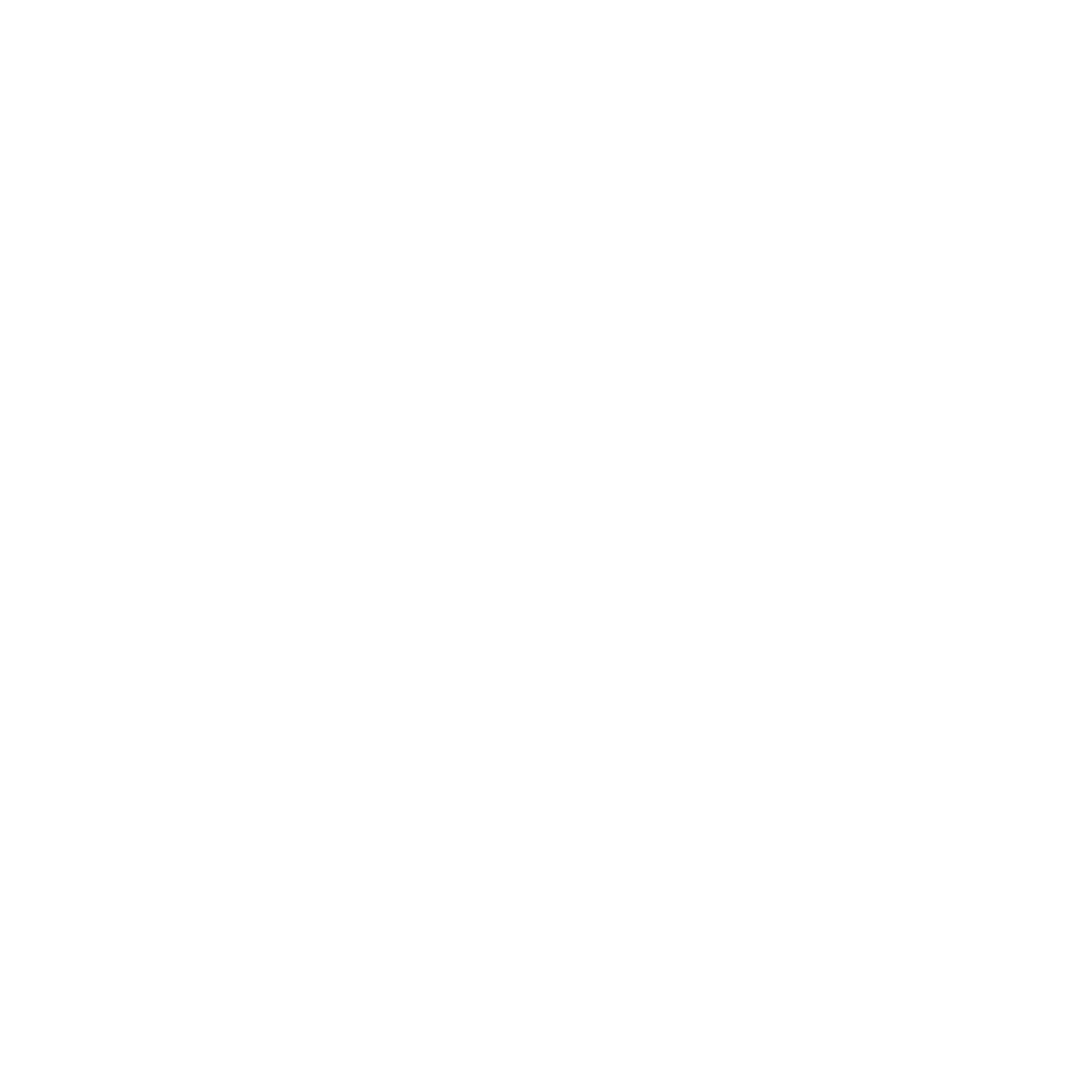 The Novelty Consultants